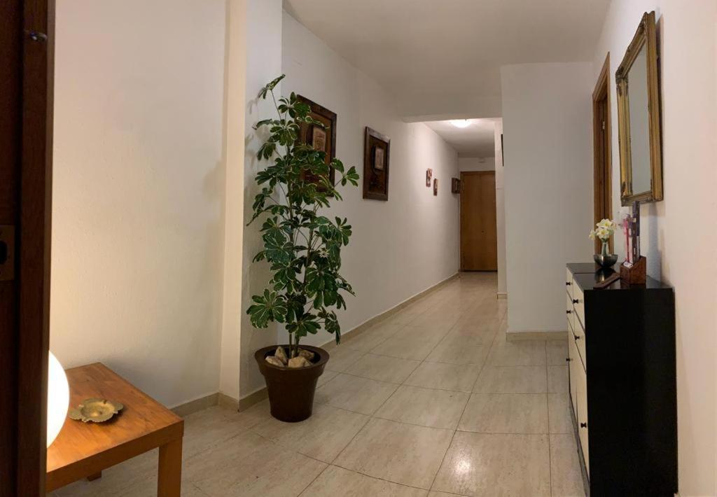 Ferienwohnung Miniloft En La Playa Alicante Exterior foto